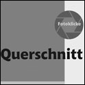 Querschnitt